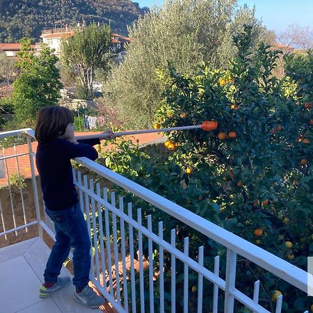 La Terrazza Family Holidays - Sorrento Coast Сант'Анджелло Экстерьер фото